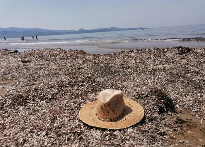 Casa Di Ceppo * Patrimonio