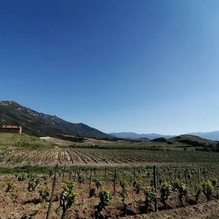 Casa Di Ceppo * Patrimonio