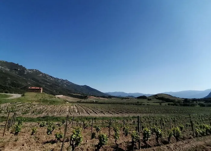 Casa Di Ceppo * Patrimonio